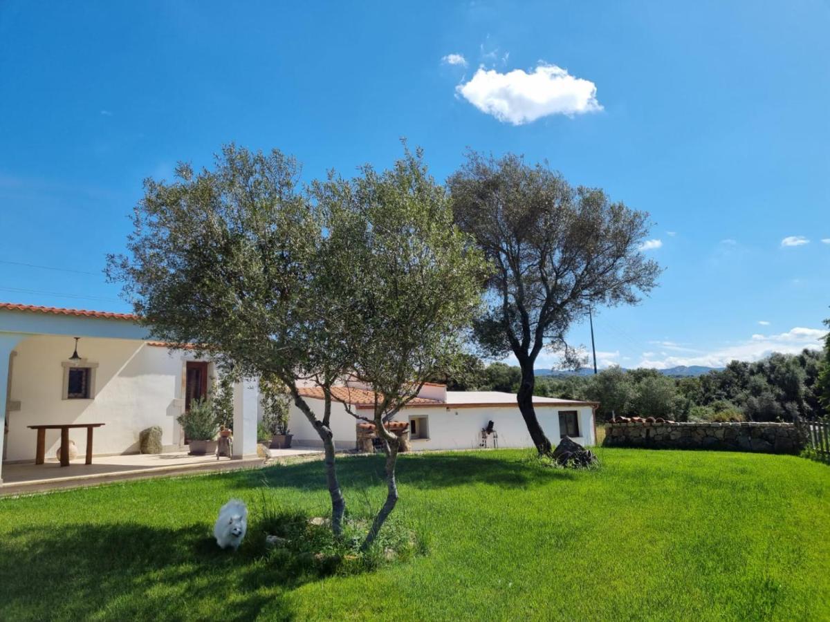 Lu Antu Alloggi Agrituristici อาร์ซาเคนา ภายนอก รูปภาพ
