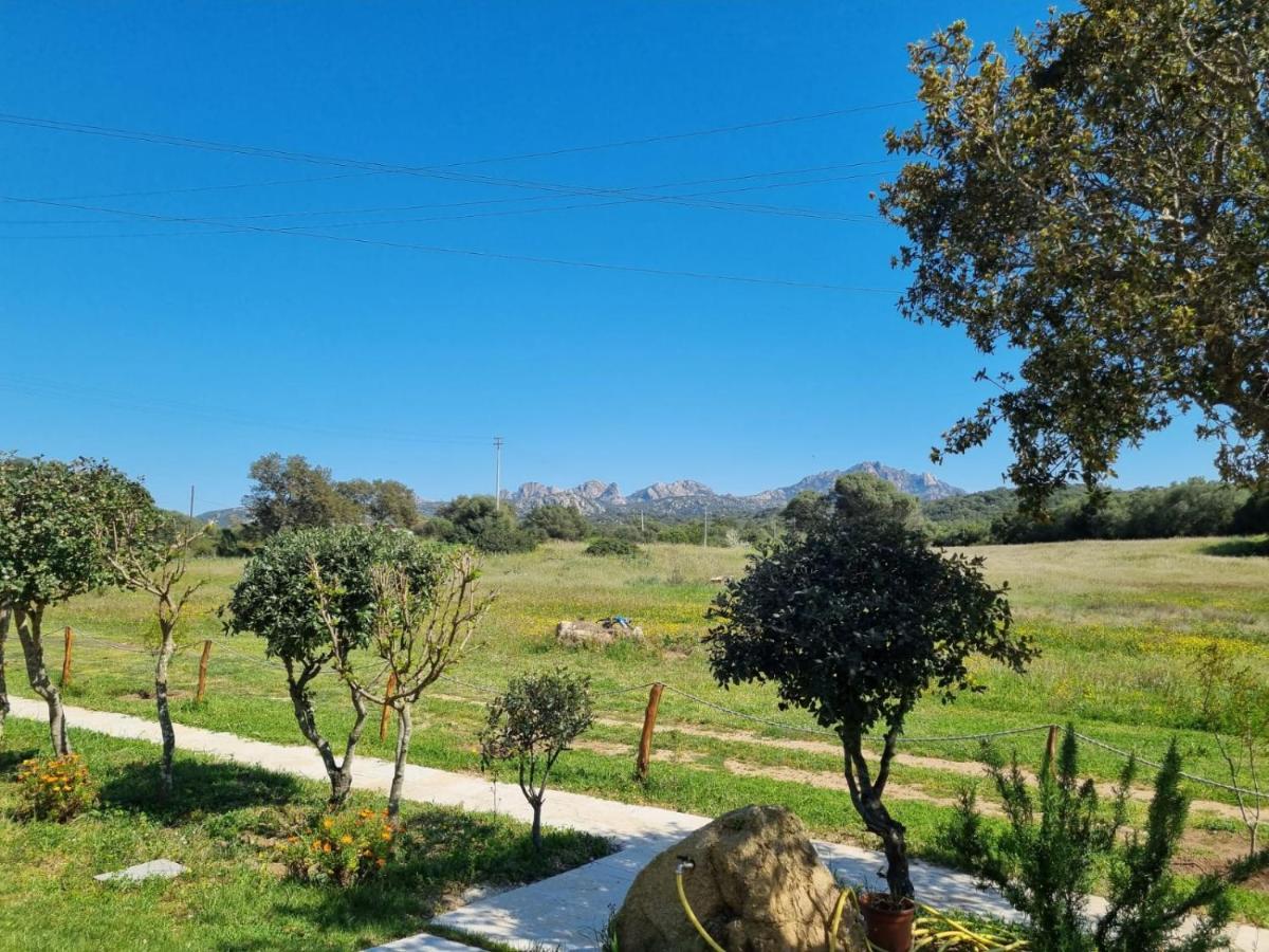 Lu Antu Alloggi Agrituristici อาร์ซาเคนา ภายนอก รูปภาพ