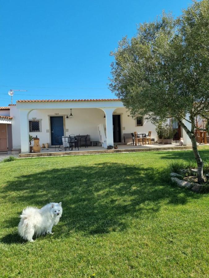 Lu Antu Alloggi Agrituristici อาร์ซาเคนา ภายนอก รูปภาพ